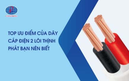 Top Ưu Điểm Của Dây Cáp Điện 2 Lõi Thịnh Phát Bạn Nên Biết